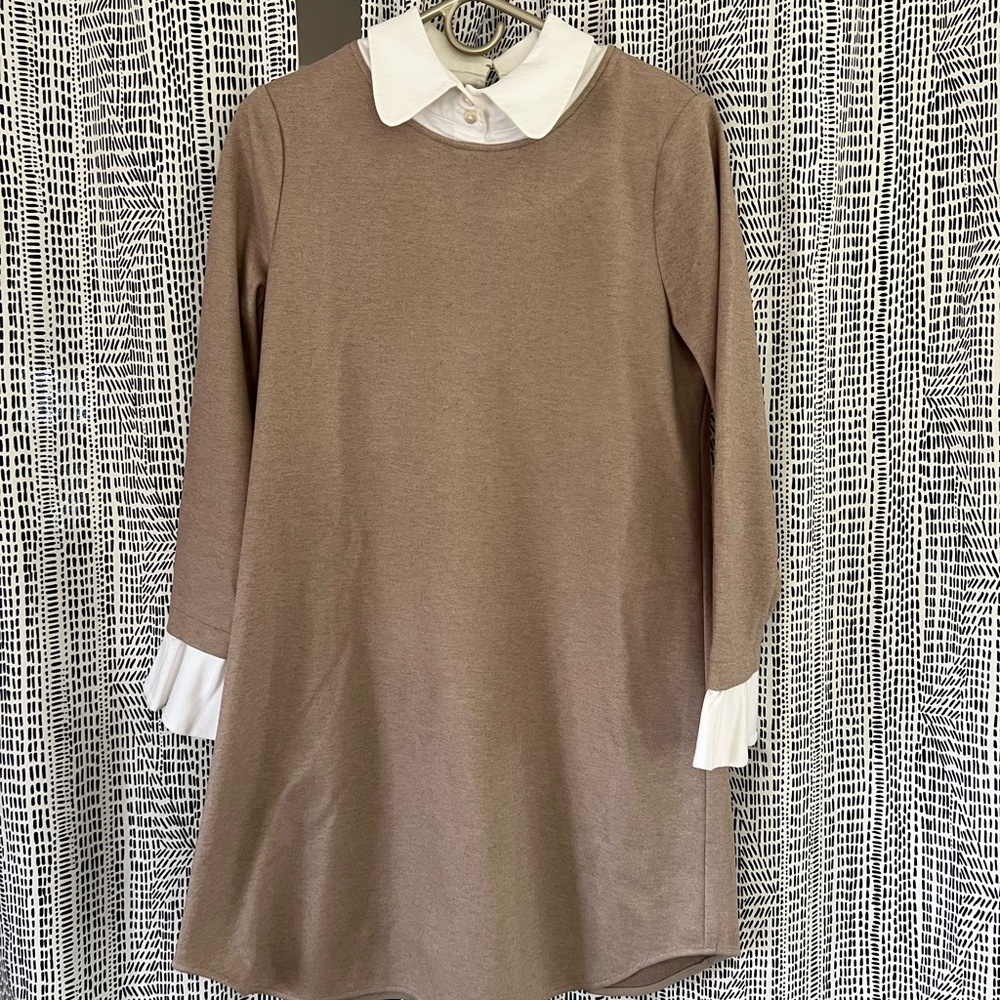 Tuckernuck Women’s Beige Dress with White Collar and Flutter sleeves